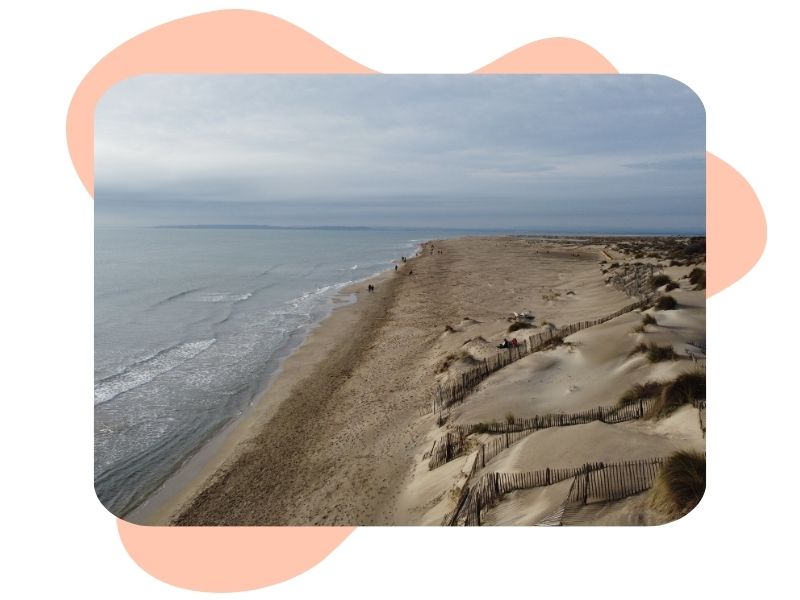 Camargue en train